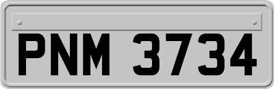 PNM3734