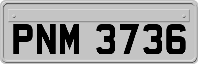 PNM3736