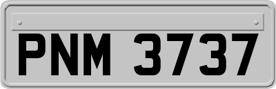 PNM3737