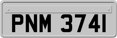 PNM3741
