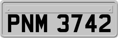 PNM3742
