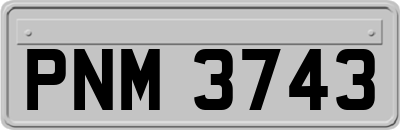 PNM3743
