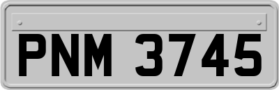 PNM3745