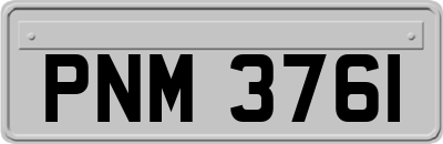 PNM3761