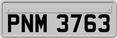 PNM3763