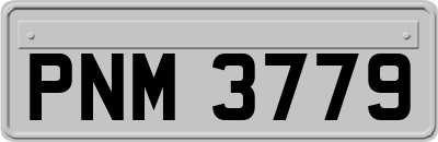 PNM3779