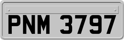 PNM3797