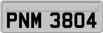 PNM3804