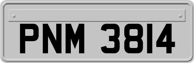 PNM3814