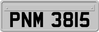 PNM3815