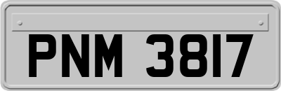PNM3817