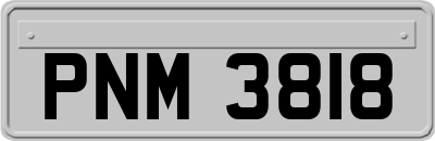 PNM3818