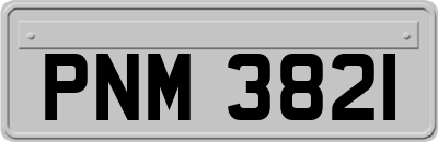 PNM3821