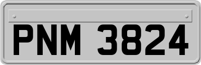 PNM3824