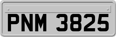PNM3825