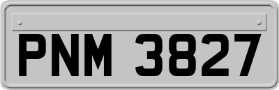 PNM3827