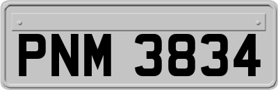 PNM3834