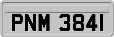 PNM3841