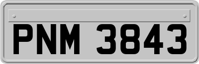 PNM3843