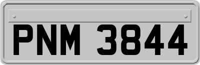 PNM3844