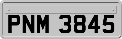PNM3845
