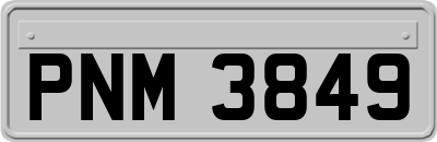 PNM3849