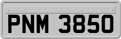 PNM3850