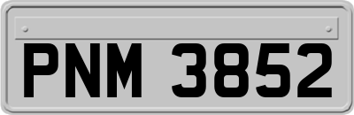 PNM3852