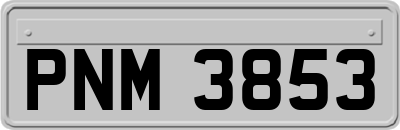 PNM3853