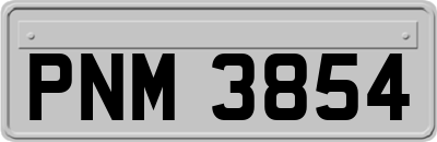 PNM3854