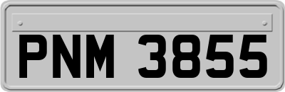 PNM3855