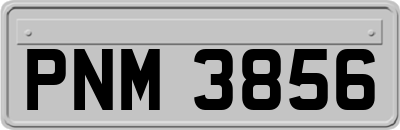 PNM3856