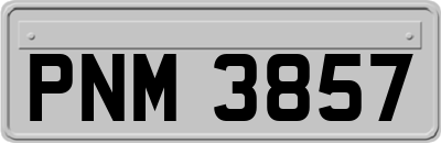 PNM3857