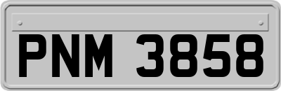 PNM3858