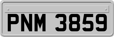 PNM3859