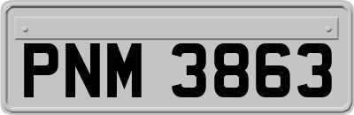 PNM3863