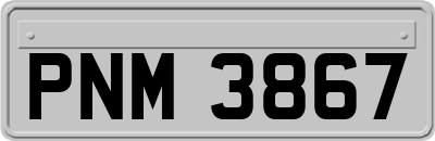 PNM3867