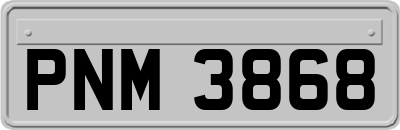 PNM3868
