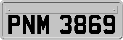 PNM3869