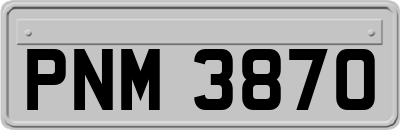 PNM3870