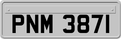 PNM3871