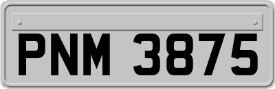 PNM3875