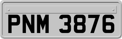PNM3876