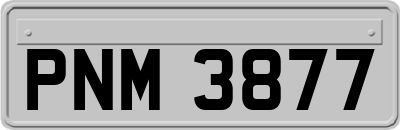PNM3877