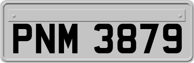 PNM3879