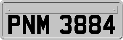 PNM3884