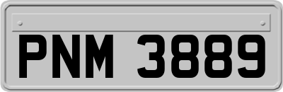 PNM3889