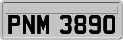PNM3890