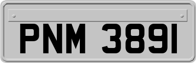 PNM3891