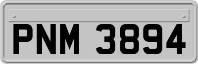 PNM3894